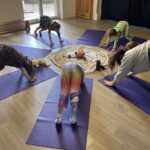 Yoga 5