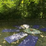 Yoga draußen 2