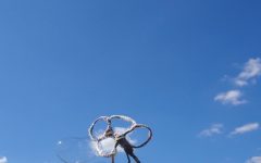 Sommerfest